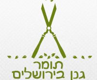 תומר גנן