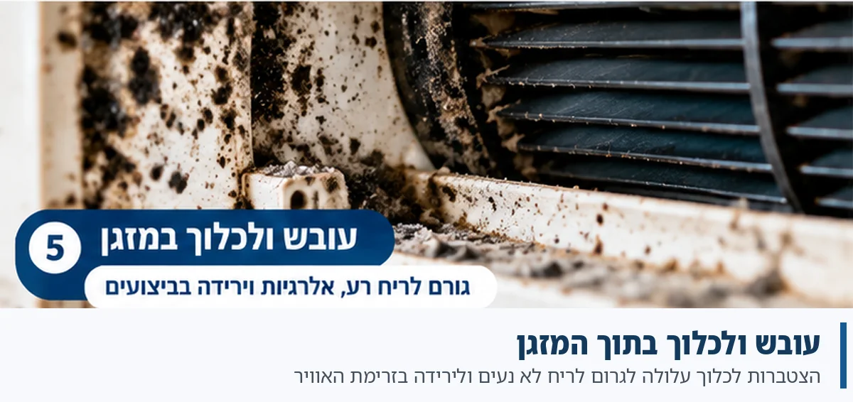 עובש ולכלוך בתוך המזגן עובש ולכלוך בתוך המזגן