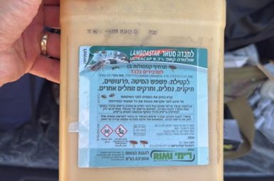 WhatsApp Image 2025-11-06 at 09.29.24 (2) (קטן)