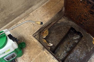 WhatsApp Image 2025-11-06 at 09.29.24 (קטן)