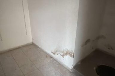 WhatsApp Image 2026-02-11 at 12.45.08