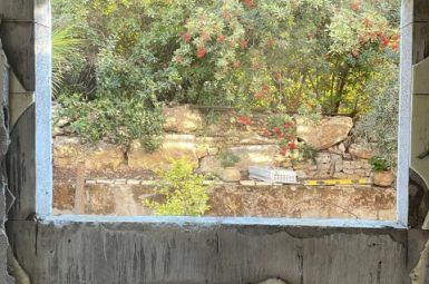 WhatsApp Image 2026-03-09 at 06.29.48 (5) (קטן)